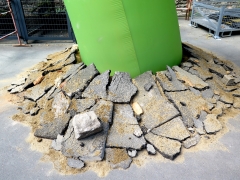shoot-cracked-earth-adj