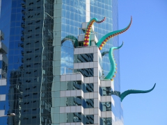 tentacle-cavill-ave-7