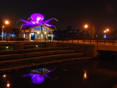 octo-taiwan-night-sz