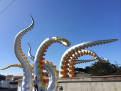 Pedro-with-new-tentacles-1